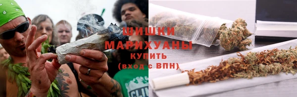 ГАЛЛЮЦИНОГЕННЫЕ ГРИБЫ Кукмор