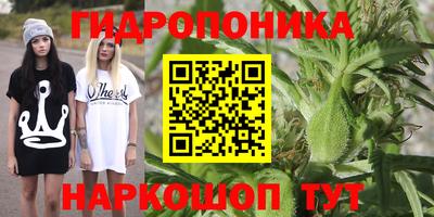 дживик Донецк
